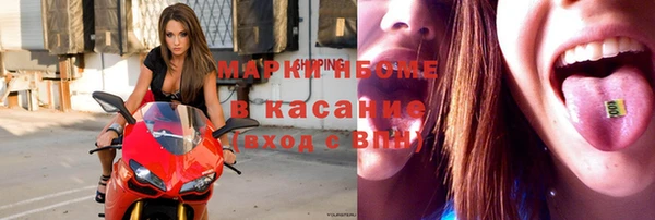 индика Верхний Тагил