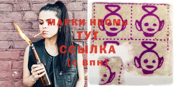 индика Верхний Тагил