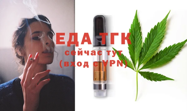индика Верхний Тагил
