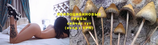 не бодяженный Верея
