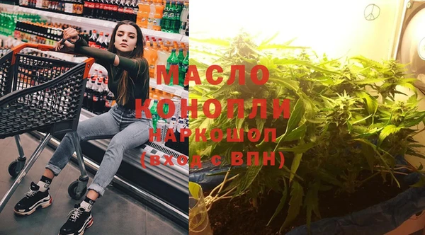 индика Верхний Тагил