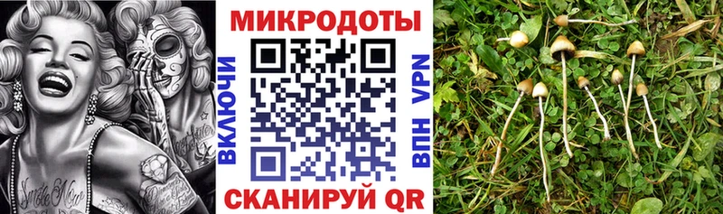 MEGA ссылки  Пикалёво  Галлюциногенные грибы Magic Shrooms 